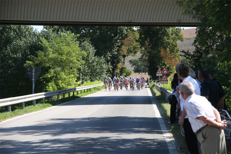 gal/2009/06 - GF della Valdarbia/arrivo_medio/IMG_7836-01.jpg